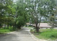 ESCAZU LOTES A LA VENTA, VENTA DE LOSTES EN COSTA RICA ESCAZU, ESCAZU LOTES EN VENTA