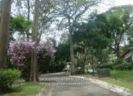 LOTES EN VENTA ESCAZU, VENTA DE LOTES ESCAZU, COSTA RICA LOTES EN VENTA ESCAZU